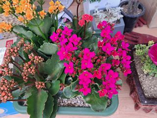 두릅나무21460님의 모임 반장님 칭찬해요 · 참여글 작성글 사진