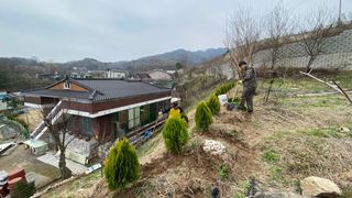 권오진트로트님의 자유주제 · 사진전 작성글 사진