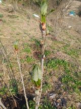 팜모닝 모임 반장님 칭찬해요·참여글 게시글 이미지