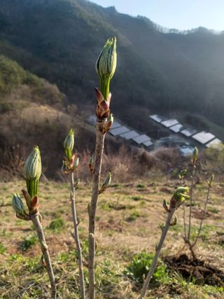 박흥구님의 모임 반장님 칭찬해요 · 참여글 작성글 사진