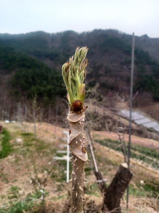 박흥구님의 모임 반장님 칭찬해요 · 참여글 작성글 사진