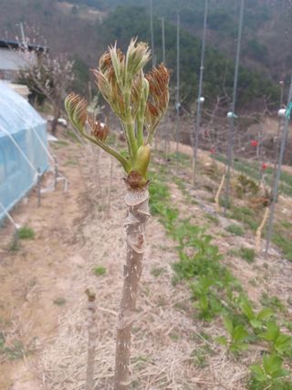 박흥구님의 모임 반장님 칭찬해요 · 참여글 작성글 사진