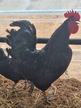 팜모닝 자유주제·자유게시판 게시글 이미지