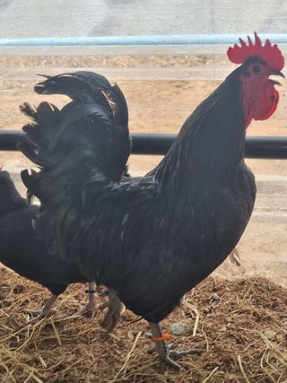 귤4853님의 자유주제 · 자유게시판 작성글 사진