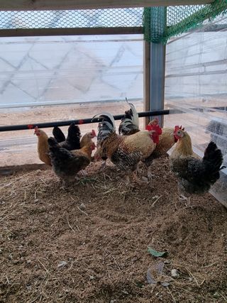 귤4853님의 자유주제 · 자유게시판 작성글 사진