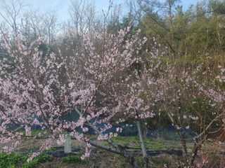 남 샘결 개둥맘님의 자유주제 · 자유게시판 작성글 사진