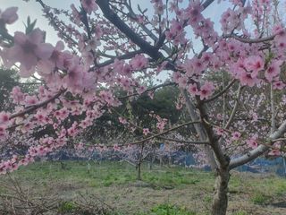 남 샘결 개둥맘님의 자유주제 · 자유게시판 작성글 사진