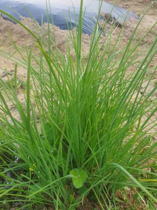 남 샘결 개둥맘님의 자유주제 · 자유게시판 작성글 사진