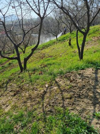 그린1505님의 기타작물 · 영농일지 작성글 사진