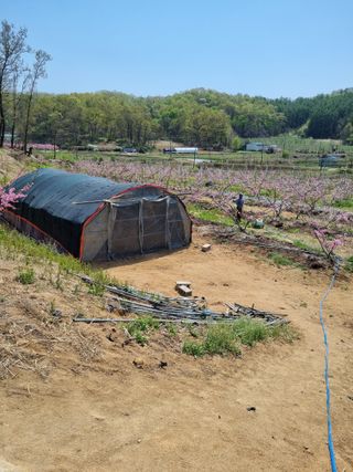그린1505님의 기타작물 · 영농일지 작성글 사진