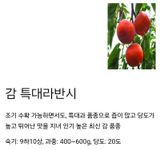 팜모닝 자유주제·자유게시판 게시글 이미지