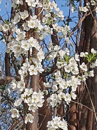 김옥자님의 자유주제 · 자유게시판 작성글 사진