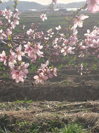 김옥자님의 자유주제 · 자유게시판 작성글 사진