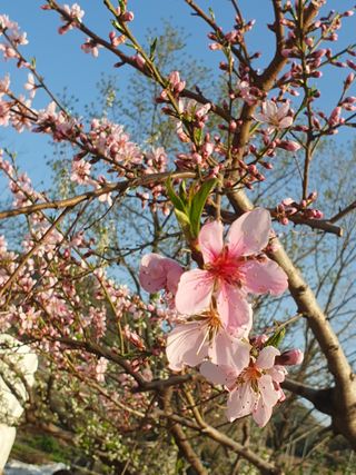 김옥자님의 자유주제 · 자유게시판 작성글 사진