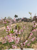 팜모닝 모임 반장님 칭찬해요·참여글 게시글 이미지
