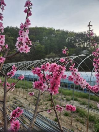 소리사랑 박주현님의 자유주제 · 사진전 작성글 사진