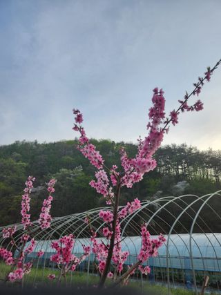 소리사랑 박주현님의 자유주제 · 사진전 작성글 사진