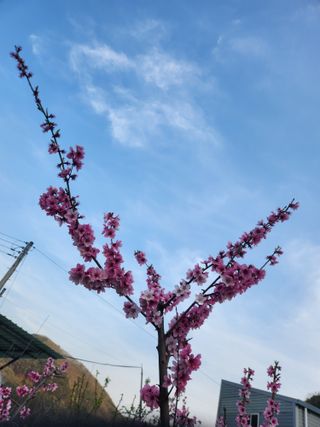 소리사랑 박주현님의 자유주제 · 사진전 작성글 사진