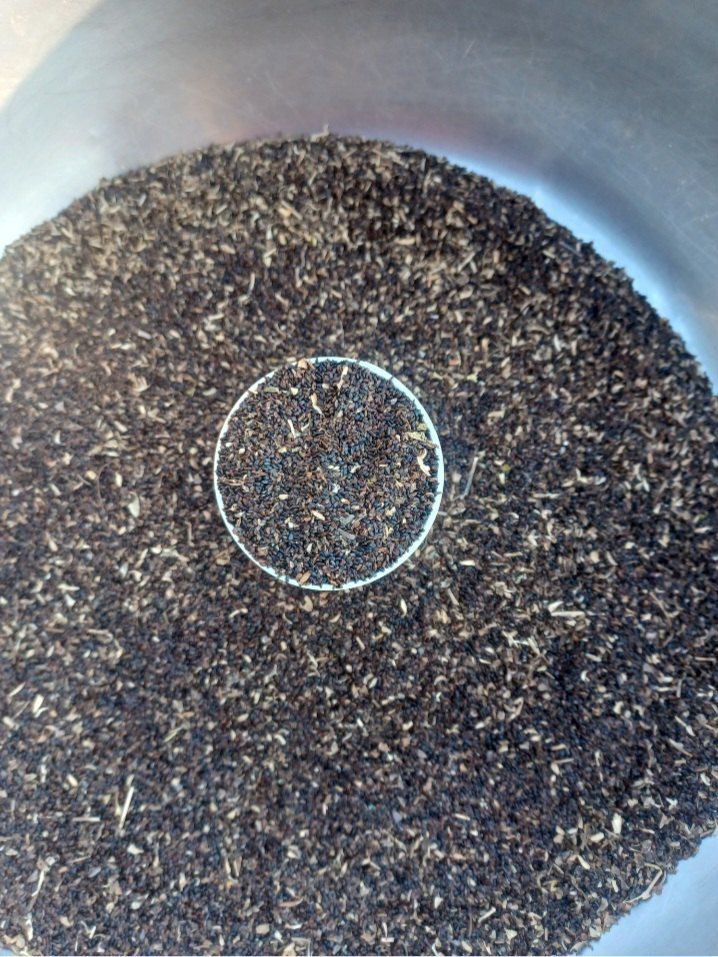 김귀남님의 장터 판매 상품 [백도라지씨앗 ] 첨부 사진