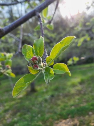 김복덕님의 자유주제 · 사진전 작성글 사진