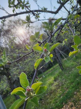 김복덕님의 자유주제 · 사진전 작성글 사진
