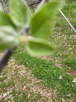 김복덕님의 자유주제 · 사진전 작성글 사진