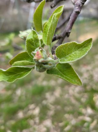 김복덕님의 자유주제 · 사진전 작성글 사진