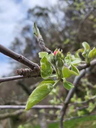 김복덕님의 자유주제 · 사진전 작성글 사진