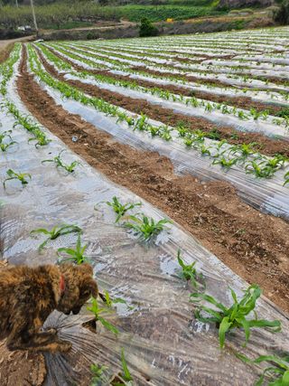 김원국님의 자유주제 · 자유게시판 작성글 사진