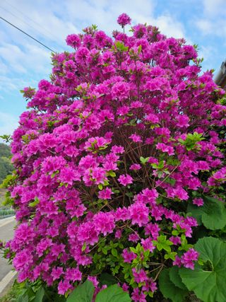 김원국님의 자유주제 · 자유게시판 작성글 사진