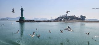 하은와송~♡♡♡~님의 모임 반장님 칭찬해요 · 참여글 작성글 사진