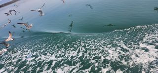 하은와송~♡♡♡~님의 모임 반장님 칭찬해요 · 참여글 작성글 사진