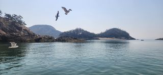 하은와송~♡♡♡~님의 모임 반장님 칭찬해요 · 참여글 작성글 사진