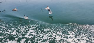 하은와송~♡♡♡~님의 모임 반장님 칭찬해요 · 참여글 작성글 사진