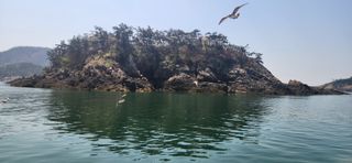 하은와송~♡♡♡~님의 모임 반장님 칭찬해요 · 참여글 작성글 사진