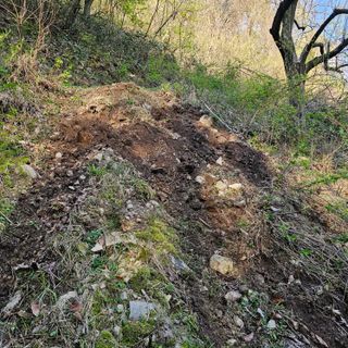 백용기님의 자유주제 · 자유게시판 작성글 사진