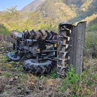 백용기님의 자유주제 · 자유게시판 작성글 사진