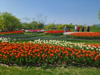 청암농원님의 자유주제 · 자유게시판 작성글 사진