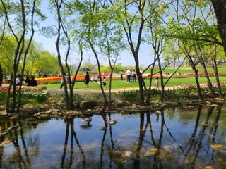 청암농원님의 자유주제 · 자유게시판 작성글 사진