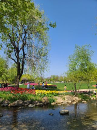 청암농원님의 자유주제 · 자유게시판 작성글 사진