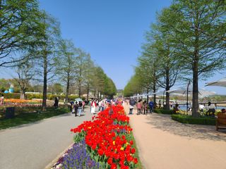 청암농원님의 자유주제 · 자유게시판 작성글 사진