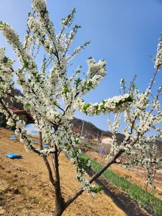 토마토21409님의 자유주제 · 자유게시판 작성글 사진