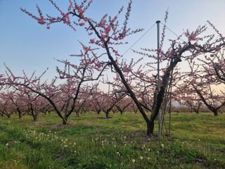 김정희님의 자유주제 · 자유게시판 작성글 사진