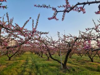 김정희님의 자유주제 · 자유게시판 작성글 사진