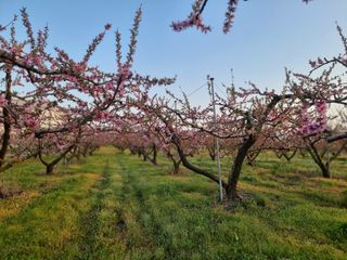 김정희님의 자유주제 · 자유게시판 작성글 사진