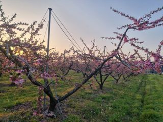 김정희님의 자유주제 · 자유게시판 작성글 사진