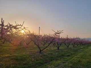 김정희님의 자유주제 · 자유게시판 작성글 사진