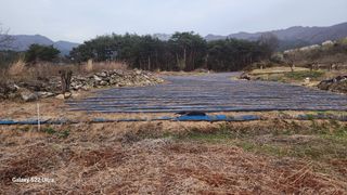 조효성님의 자유주제 · 자유게시판 작성글 사진