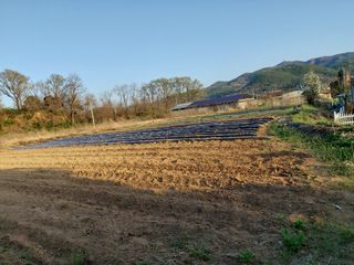 미카엘농장님의 콩 · 영농일지 작성글 사진