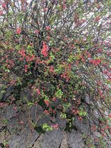 팜모닝 자유주제·자유게시판 게시글 이미지